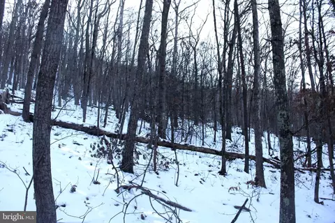 5 50 Ac Lake Ferndale Dr, Springfield, WV 26763