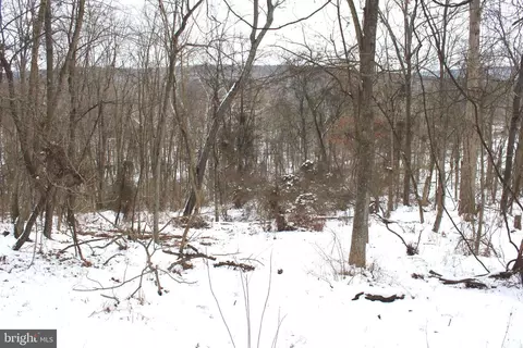 7 02 Ac Springfield Pike, Springfield, WV 26763 photo 8