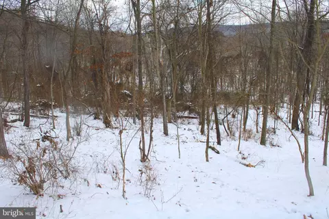 7 02 Ac Springfield Pike, Springfield, WV 26763 photo 14