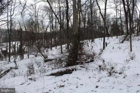 7 02 Ac Springfield Pike, Springfield, WV 26763 photo 12