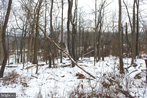 7 02 Ac Springfield Pike, Springfield, WV 26763 photo 7