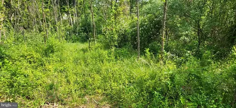 Tupelo Loop, Springfield, WV 26763 photo 13