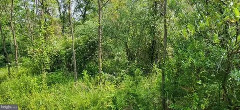 Tupelo Loop, Springfield, WV 26763 photo 14