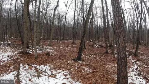 lot116 117 Chess Dr, Augusta, WV 26704