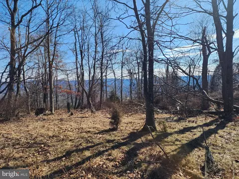 lot111 River Rdg, Yellow Spring, WV 26865
