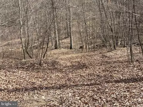 Oak Ridge, Springfield, WV 26763 photo 29
