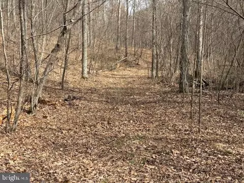 Oak Ridge, Springfield, WV 26763 photo 34