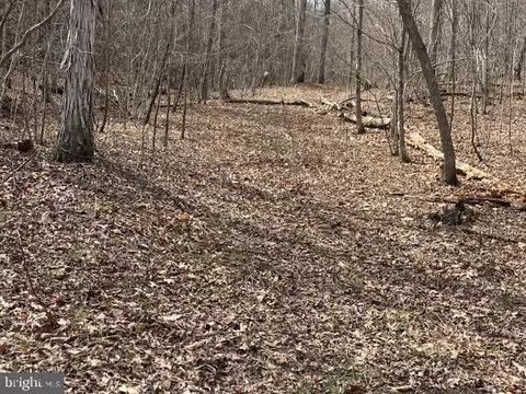 Oak Ridge, Springfield, WV 26763 photo 31