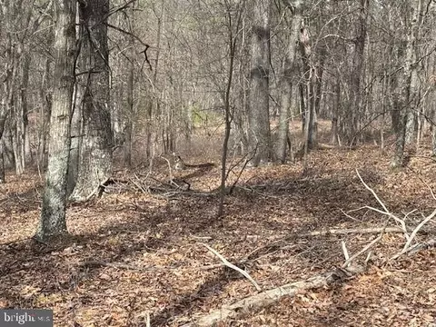 Oak Ridge, Springfield, WV 26763 photo 38