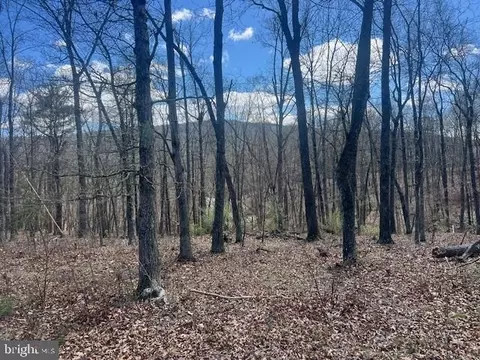 20 Acres Off River Glen Rd, Bloomery, WV 26817
