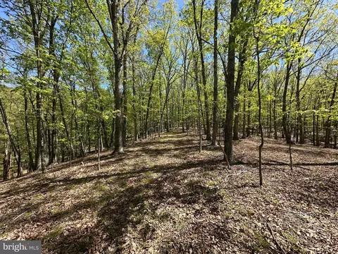 9 Shadow Knls, Springfield, WV 26763 photo 17