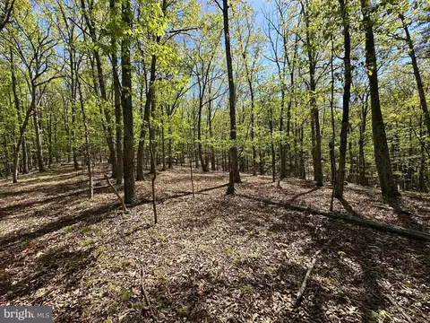 9 Shadow Knls, Springfield, WV 26763 photo 16