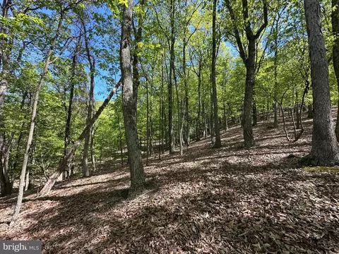 9 Shadow Knls, Springfield, WV 26763 photo 19