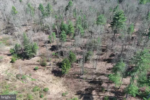 Other - 111 Heron Ln, Augusta, WV 26704 photo 82 of 88