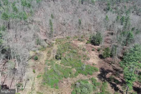 Other - 111 Heron Ln, Augusta, WV 26704 photo 80 of 88