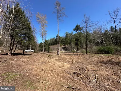 Other - 111 Heron Ln, Augusta, WV 26704 photo 46 of 88