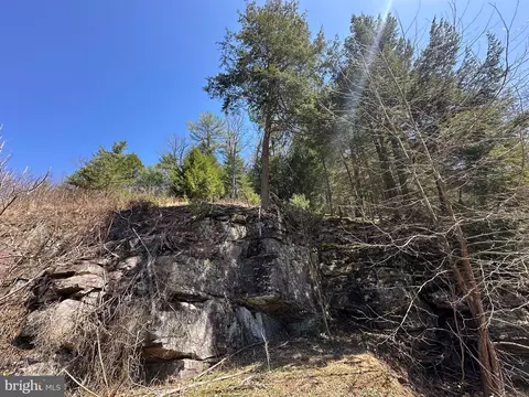 Other - 111 Heron Ln, Augusta, WV 26704 photo 44 of 88