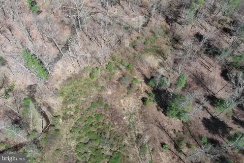 Other - 111 Heron Ln, Augusta, WV 26704 photo 83 of 88