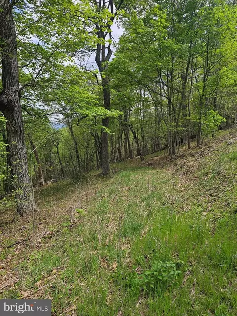 High View Road, Old Fields, WV 26845 photo 7