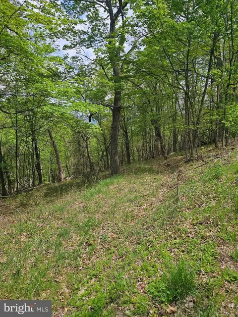 High View Road, Old Fields, WV 26845 photo 8