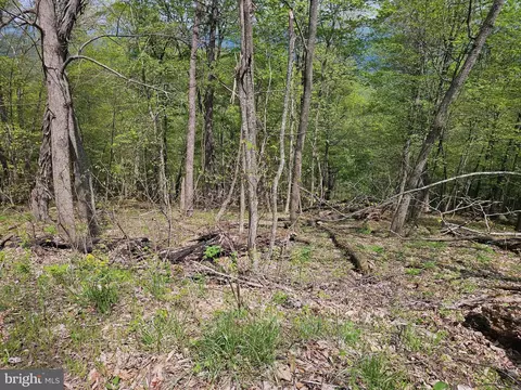 High View Road, Old Fields, WV 26845 photo 10