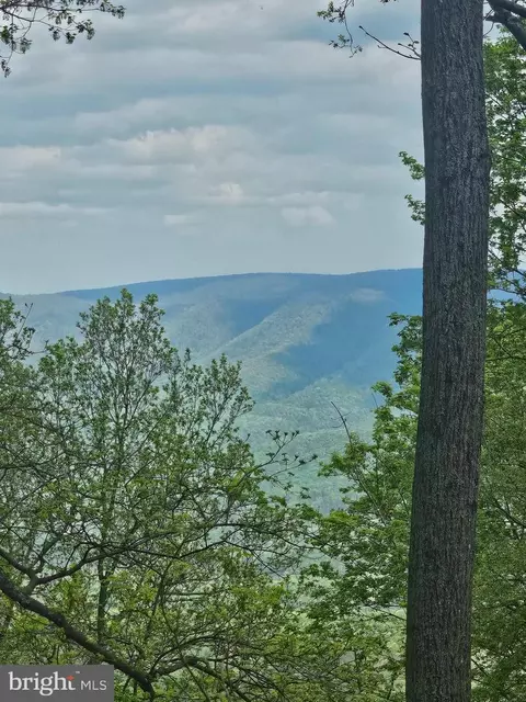 High View Road, Old Fields, WV 26845 photo 2