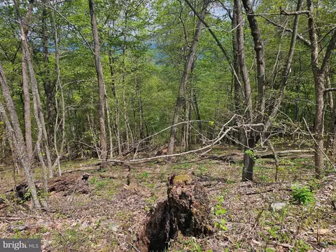 High View Road, Old Fields, WV 26845 photo 9