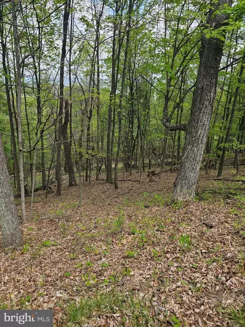 High View Road, Old Fields, WV 26845 photo 6
