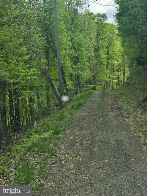 High View Road, Old Fields, WV 26845 photo 11