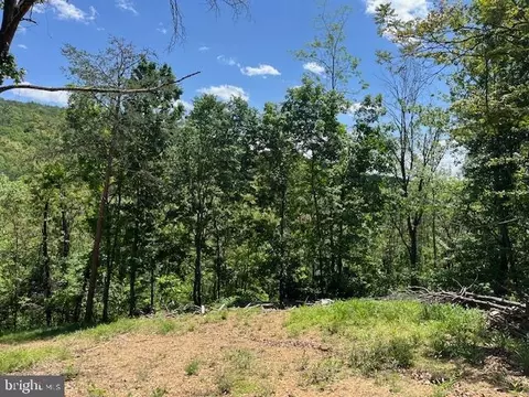 28 Bluffs Rd, Springfield, WV 26763 photo 27