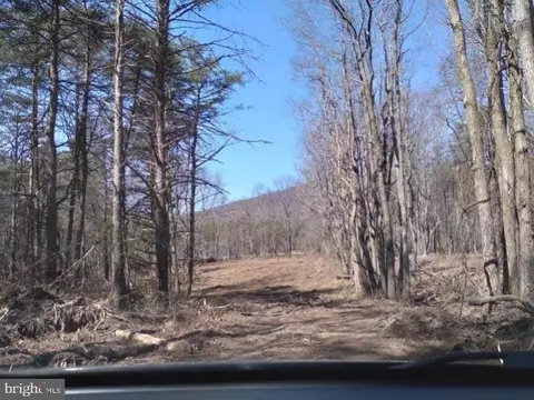 Critton Owl Hollow Rd, Slanesville, WV 25444