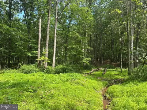 5 73 Ac Anthony Bohrer Rd, Slanesville, WV 25444