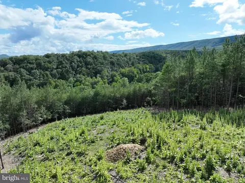 20 17 Ac North Texas Rd, Delray, WV 26714