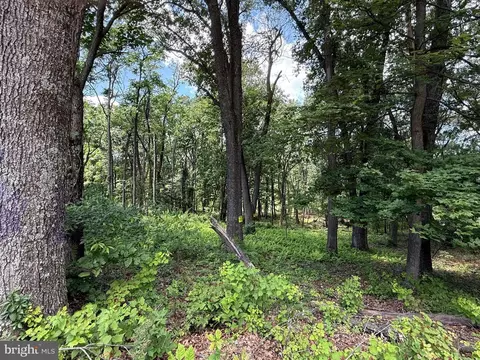 82 Cabin Rd, Augusta, WV 26704