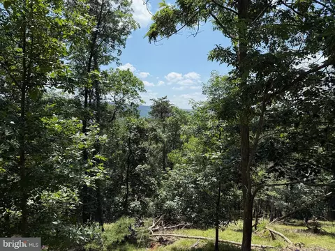 243 Bluffs On The Potomac, Romney, WV 26757