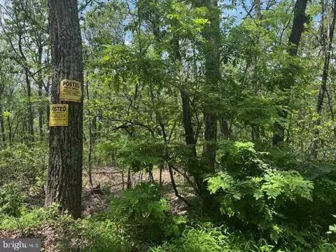 Eastwood Drive, Bloomery, WV 26817