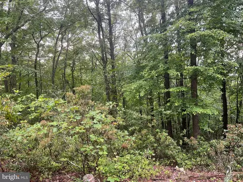lot S 16 17 18 Halterman Dr, Capon Bridge, WV 26711