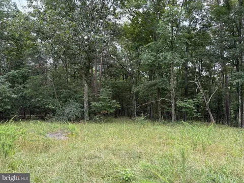 9 31 Ac Pine Tree Dr, Bloomery, WV 26817