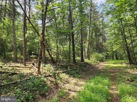 6 47 Acres Burd Ln, Augusta, WV 26704