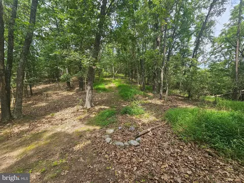 Pine Way Road, Romney, WV 26757