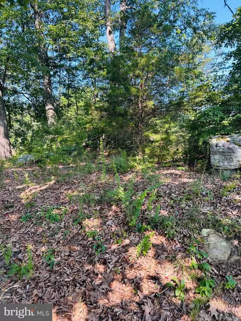 1691 Bloomery Pike, Bloomery, WV 26817 photo 12