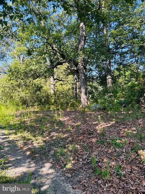 1691 Bloomery Pike, Bloomery, WV 26817 photo 13