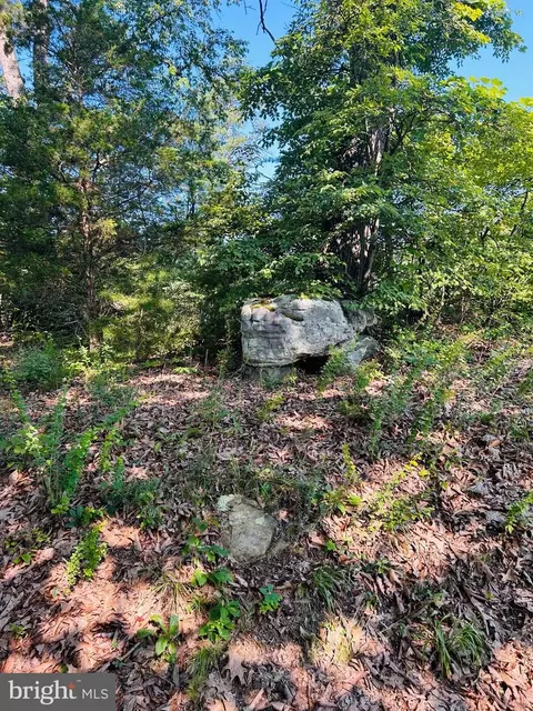 1691 Bloomery Pike, Bloomery, WV 26817 photo 11