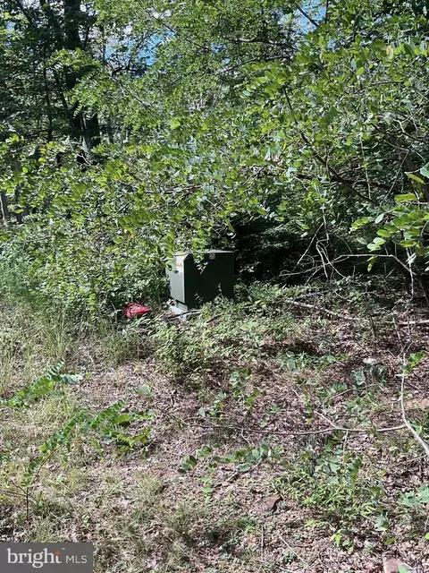 Other - 624 Mountain Lion Ln, Augusta, WV 26704 photo 18 of 21