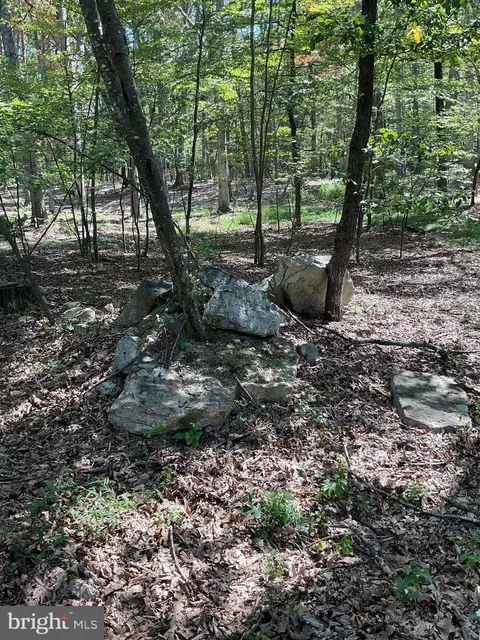 Other - 624 Mountain Lion Ln, Augusta, WV 26704 photo 16 of 21
