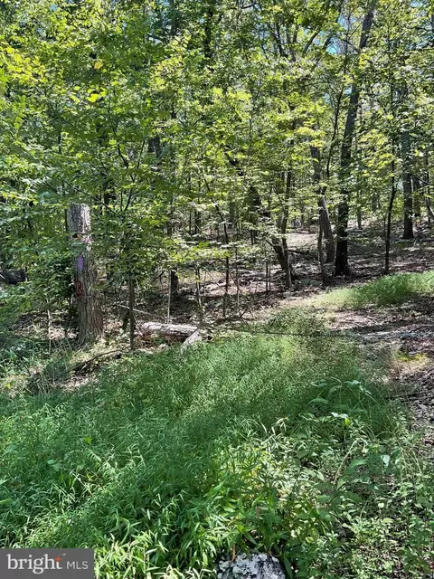 Other - 624 Mountain Lion Ln, Augusta, WV 26704 photo 6 of 21