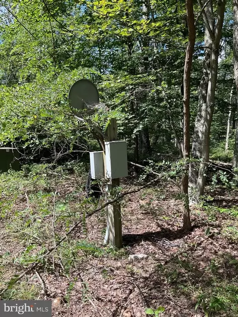 Other - 624 Mountain Lion Ln, Augusta, WV 26704 photo 21 of 21