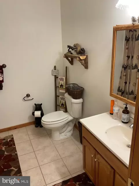 Bath - 624 Mountain Lion Ln, Augusta, WV 26704 photo 1 of 2