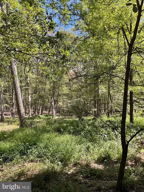 Other - 624 Mountain Lion Ln, Augusta, WV 26704 photo 8 of 21
