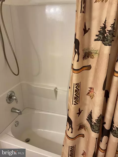 Other - 624 Mountain Lion Ln, Augusta, WV 26704 photo 13 of 21